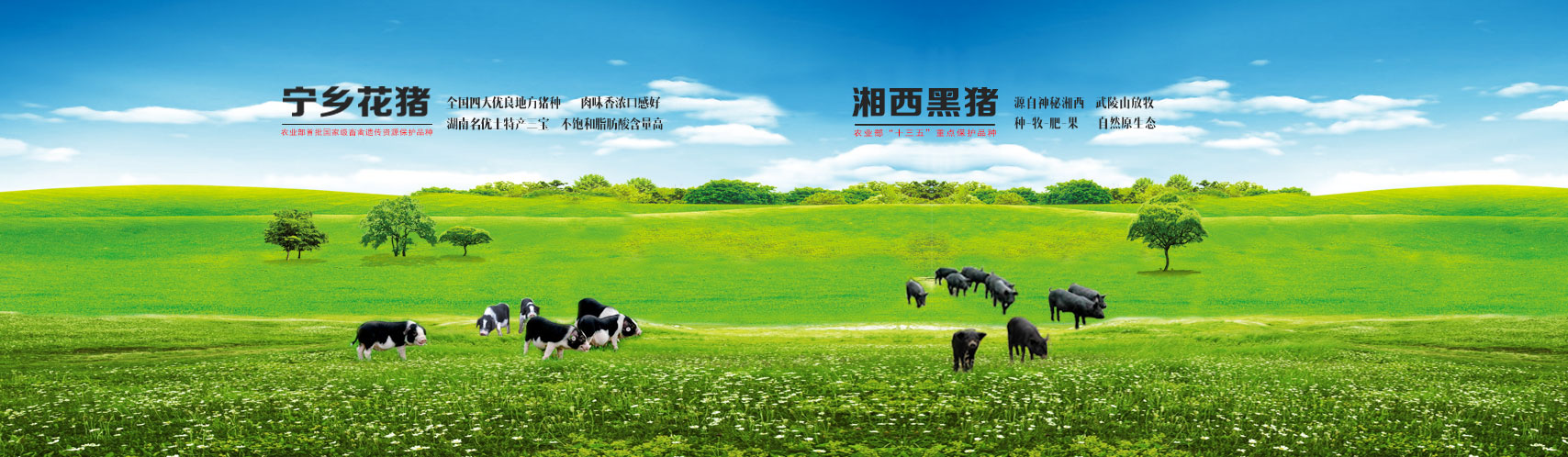 多多28官网-追求健康,你我一起成长